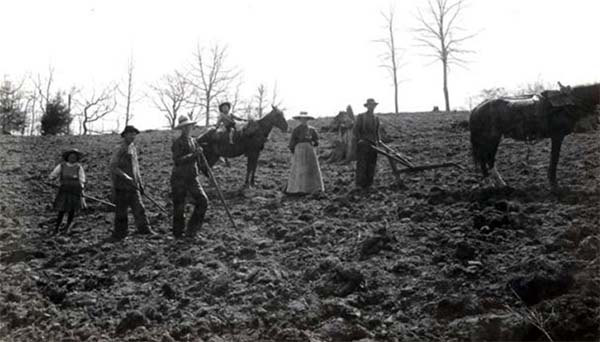 Photograph of a family farming in the mountains, near Linville Falls, N.C. The photo was taken sometime between 1900 and 1920. The image is from the collection of the N.C. Museum of History.