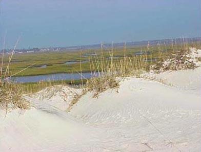 <img typeof="foaf:Image" src="http://statelibrarync.org/learnnc/sites/default/files/images/dunes.jpg" width="392" height="297" alt="Dunes on Bear Island" title="Dunes on Bear Island" />