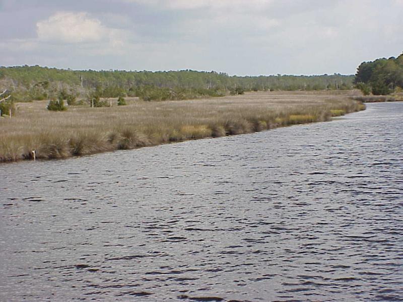 <img typeof="foaf:Image" src="http://statelibrarync.org/learnnc/sites/default/files/images/salt_marsh3.jpg" width="1024" height="768" alt="Salt marsh in a mid-salinity area; changed plant zonation" />