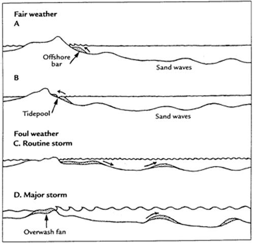 <img typeof="foaf:Image" src="http://statelibrarync.org/learnnc/sites/default/files/images/sand_exchange_diagram.jpg" width="500" height="478" alt="Diagram of sand exchange" title="Diagram of sand exchange" />