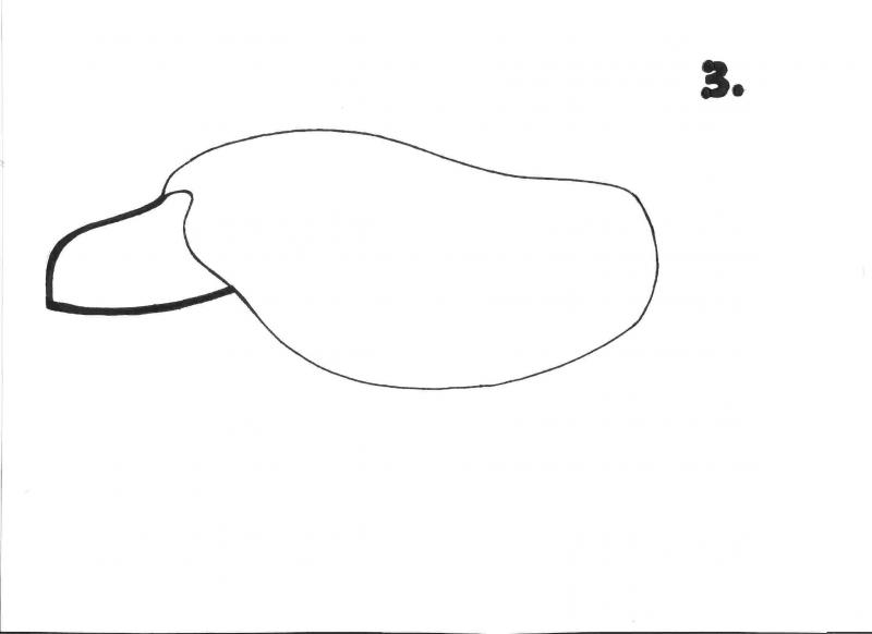 <img typeof="foaf:Image" src="http://statelibrarync.org/learnnc/sites/default/files/images/step_3.jpg" width="2338" height="1700" alt="Sea turtle drawing: step 3" title="Sea turtle drawing: step 3" />