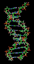 DNA Section