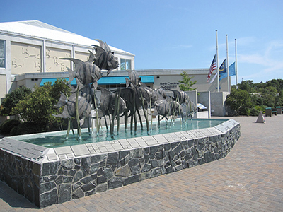 The North Carolian Aquarium at Fort Fisher, 2009. Image from Flickr user Reality Smith/Joel Smith.