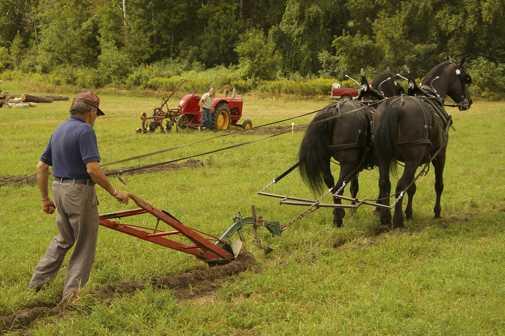 Horse-drawn plow