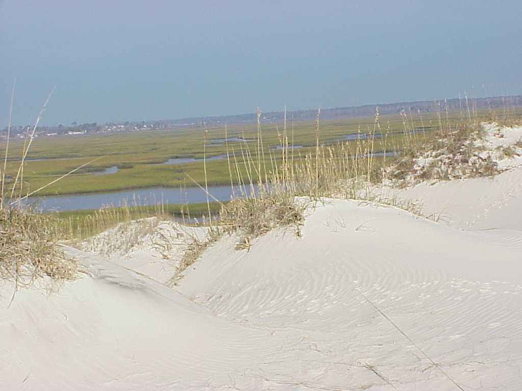 Coastal Plain