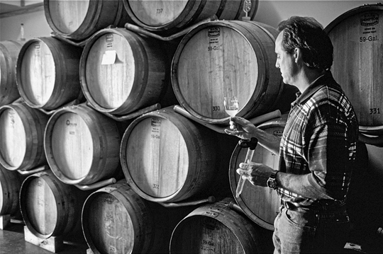 Sampling wine at Westbend Vineyards near Winston-Salem. Photograph courtesy of North Carolina Division of Tourism, Film, and Sports Development.