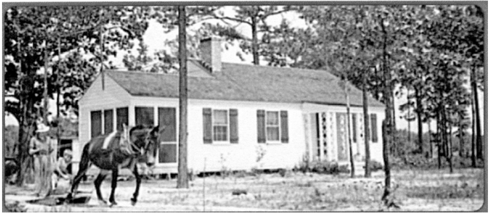 An early home built at Penderlea.