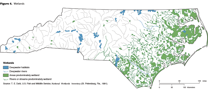 Figure 4 - Wetlands